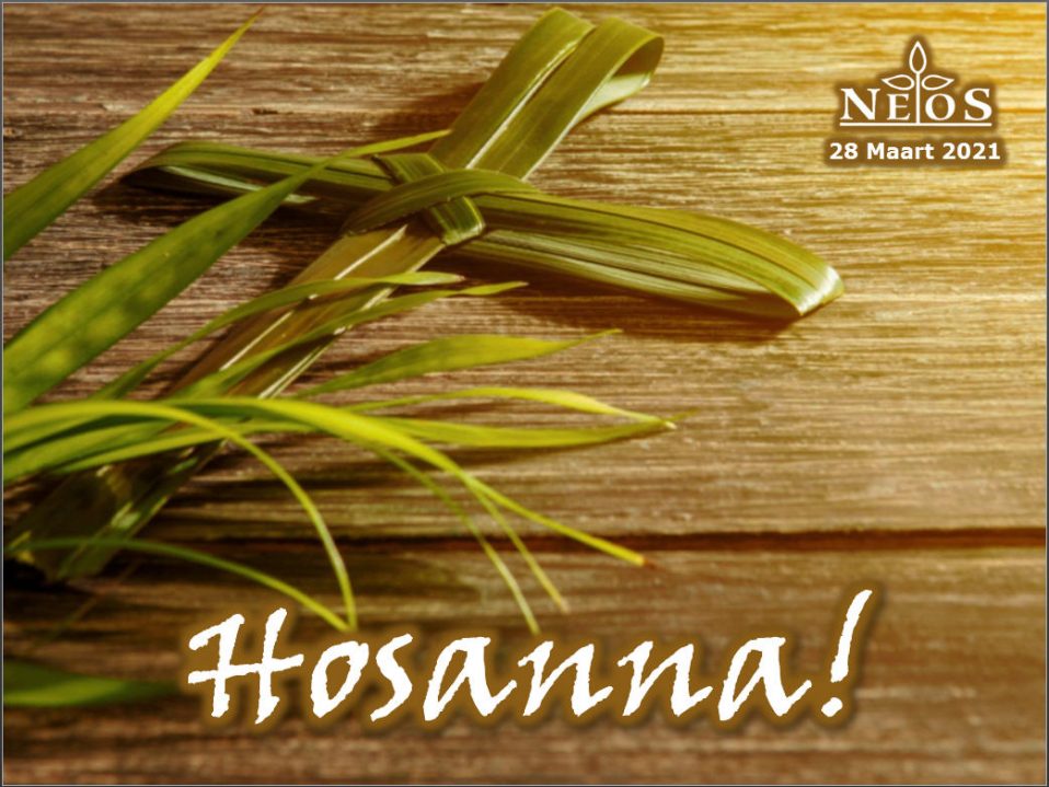 Hosanna !