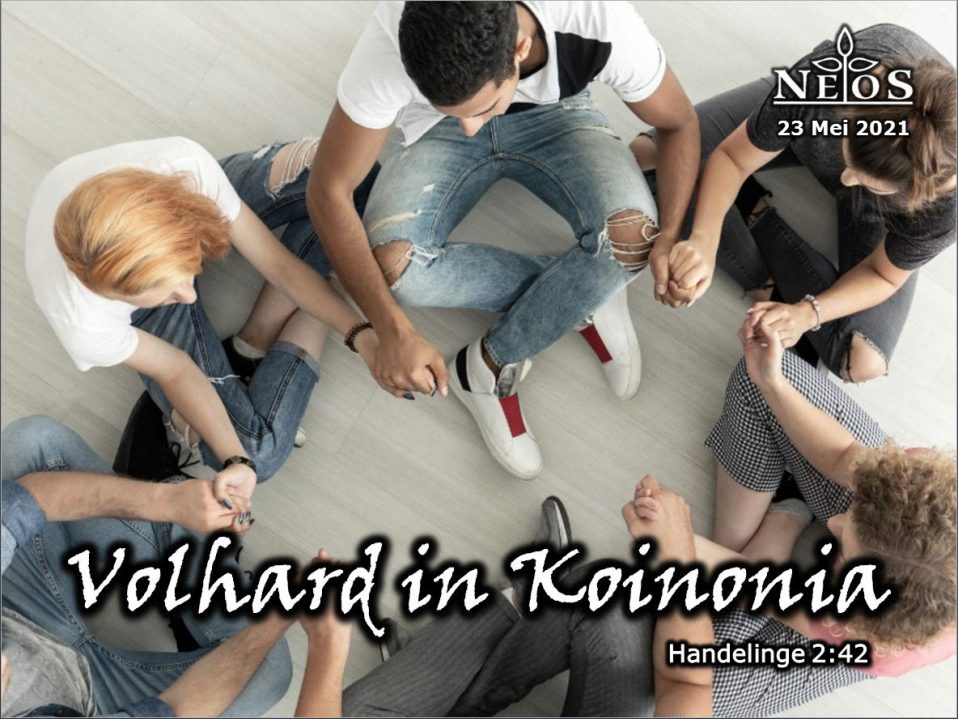 Volhard in Koinonia
