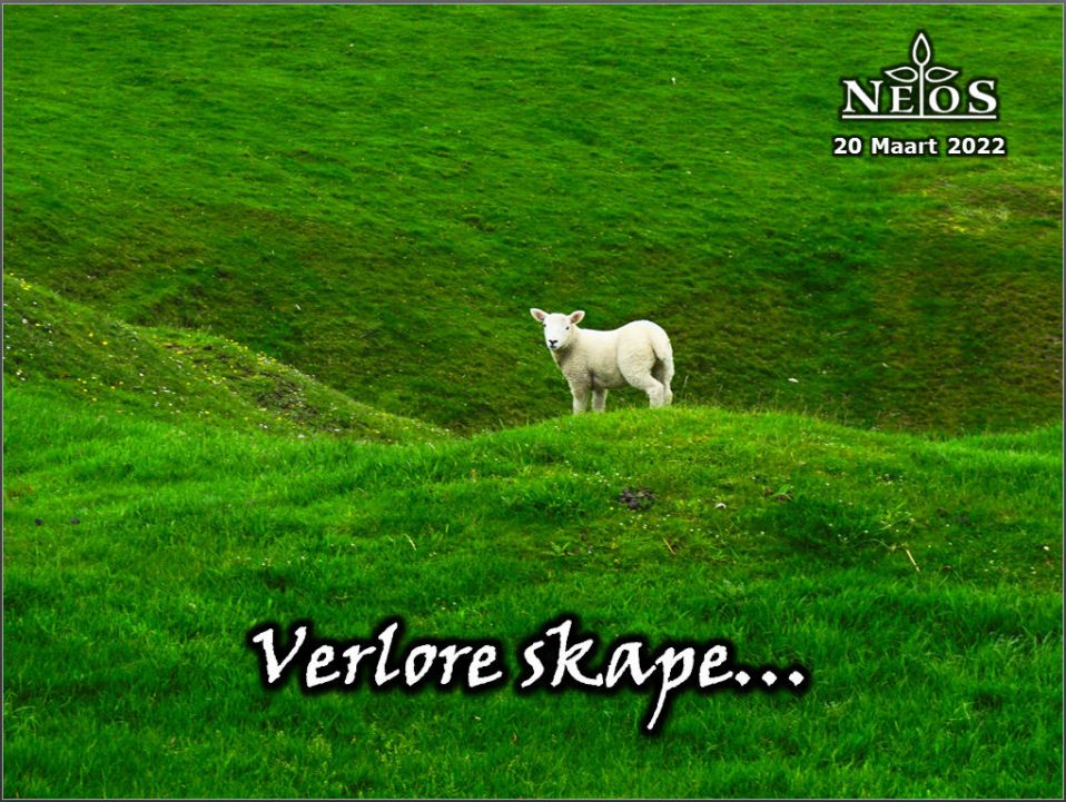 Verlore Skape