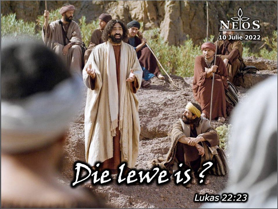 Die lewe is?