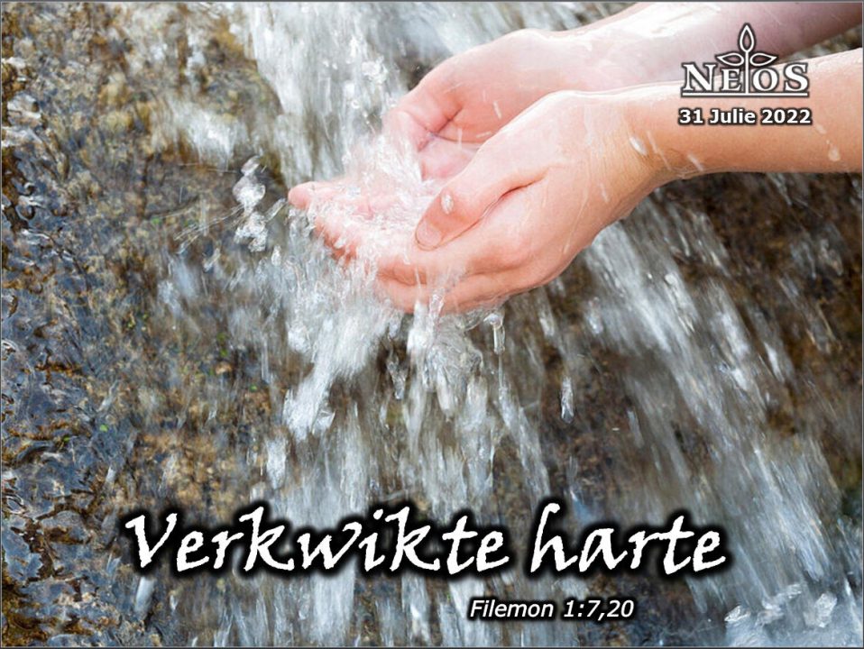 Verkwikte harte