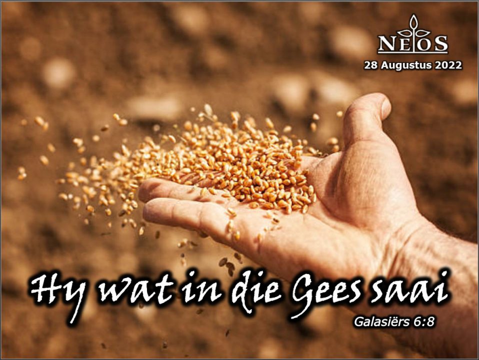 Hy wat in die Gees saai