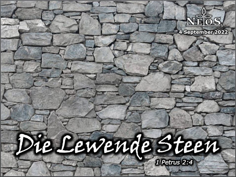 Die Lewende Steen