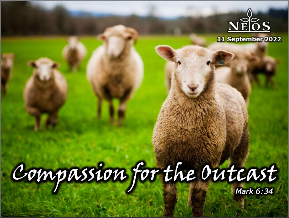 Compassion for the Outcast