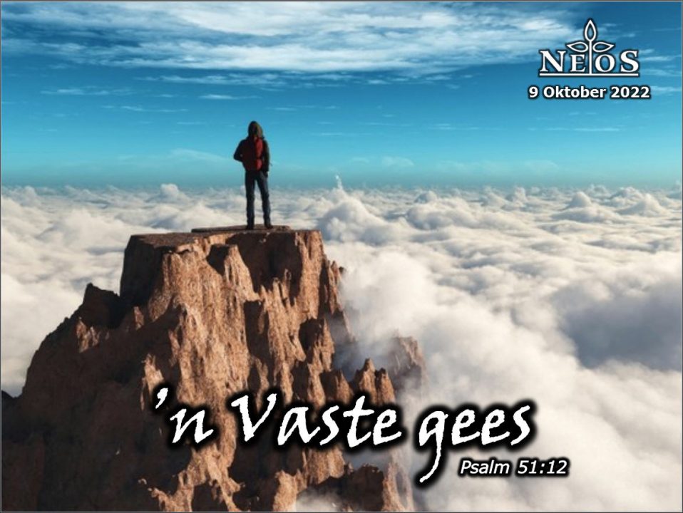 ‘n Vaste Gees