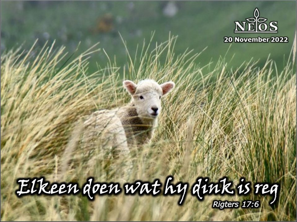 Elkeen doen wat hy dink is reg