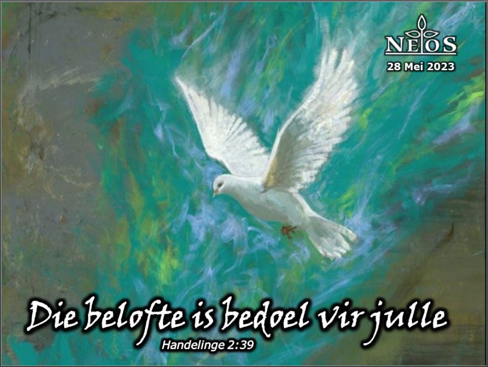 Die belofte is bedoel vir julle