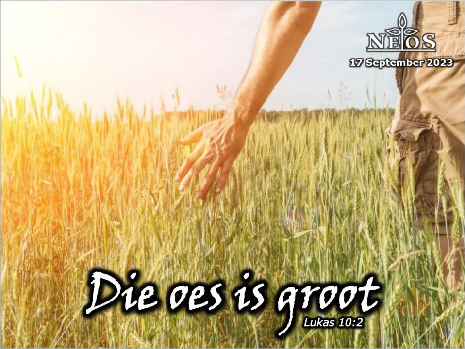 Die oes is groot