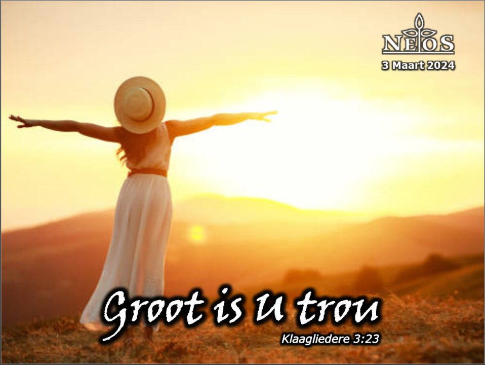 Groot is U trou