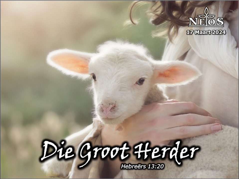 Die Groot Herder